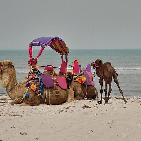 מלון Mezraia Dar El Kahina Djerba מראה חיצוני תמונה