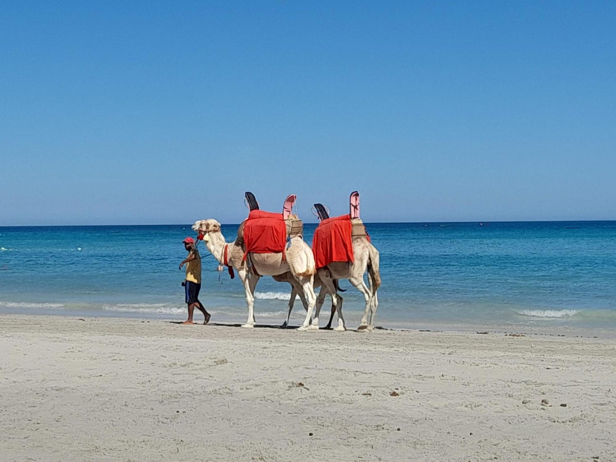 מלון Mezraia Dar El Kahina Djerba מראה חיצוני תמונה